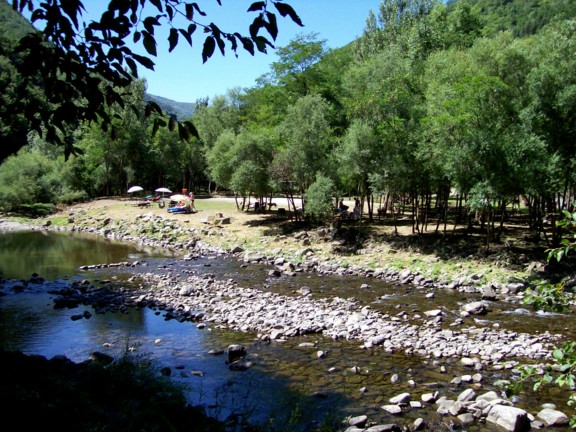  Image name: 100_0276.JPG 
 width: 576 pixel 
 height: 432 pixel 
 Size: 117576 bytes 
 Click to enlarge 